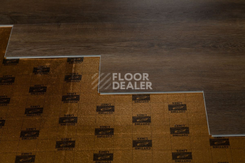 Tarkett Funky House MIKE фото 2 | FLOORDEALER